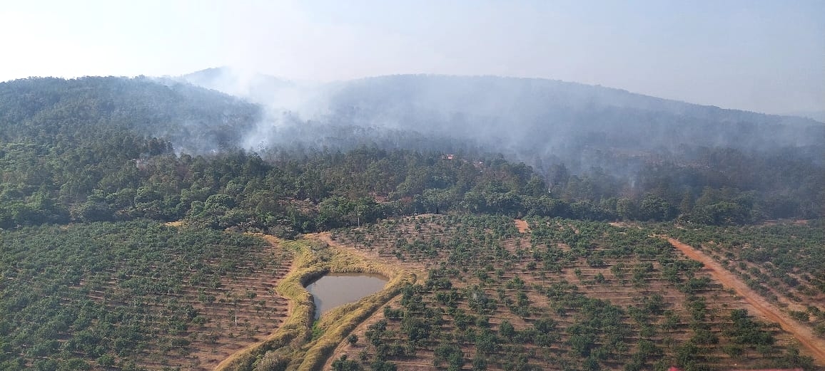 Controlado el incendio forestal en Ario; se atiende por aire y tierra