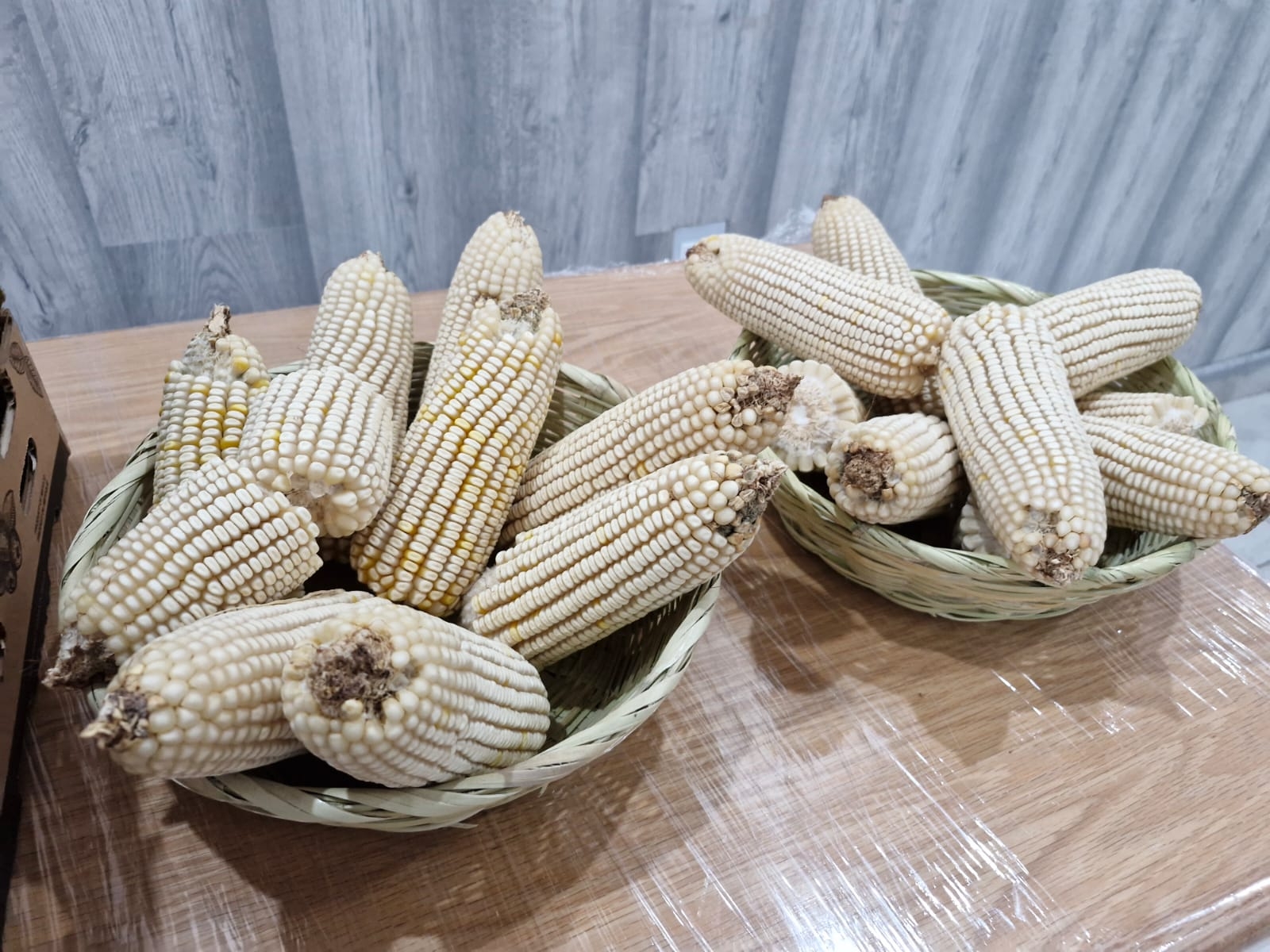 Promoverán en Michoacán maíces resistentes a sequía y altas temperaturas