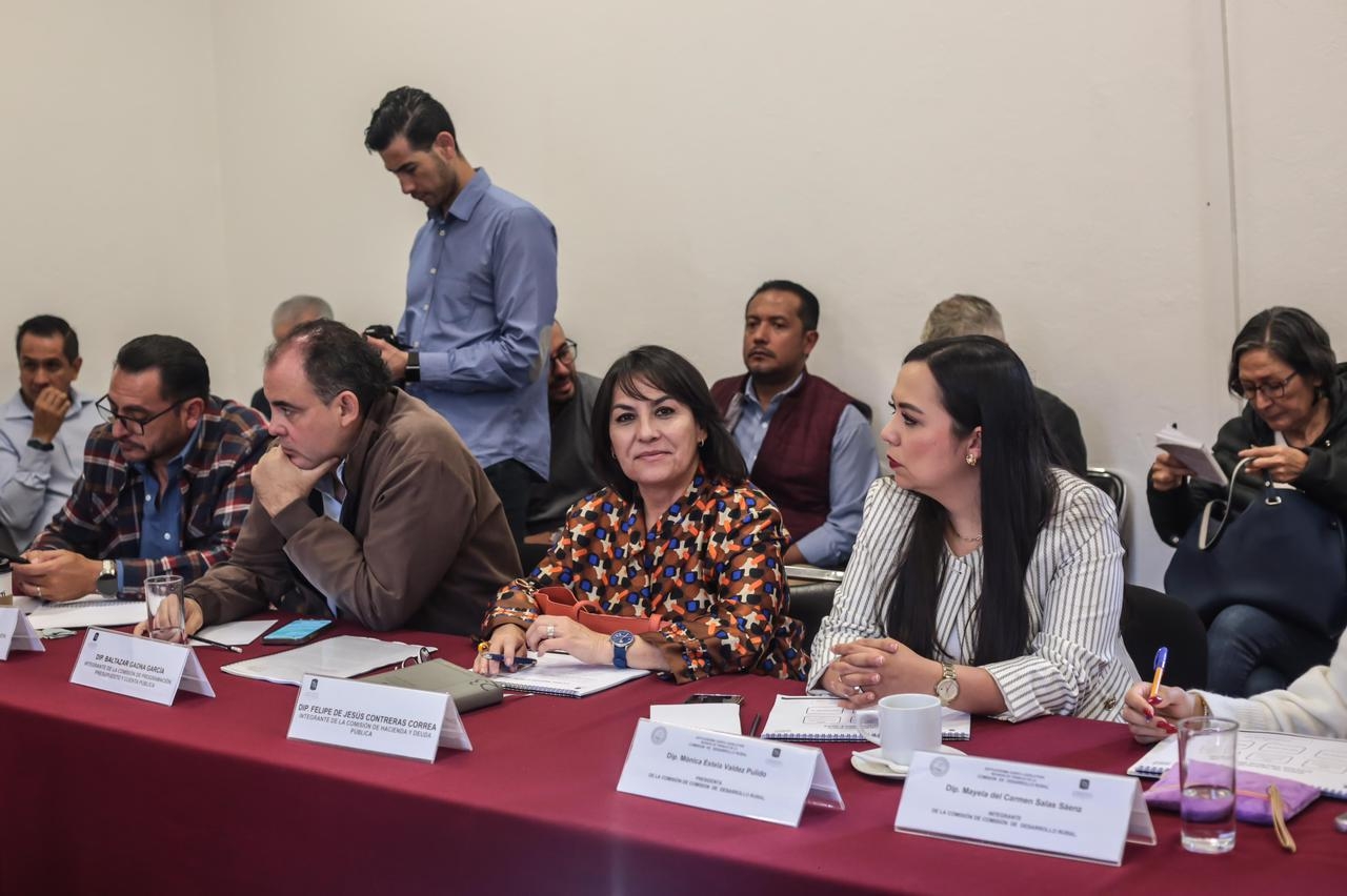 Diputados del PAN iremos por presupuestos justos y razonables para órganos desconcentrados: Lariza Pérez